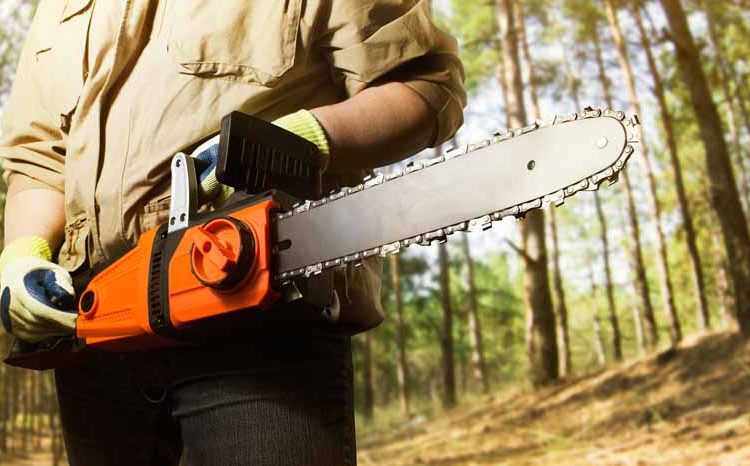 tree chipping Sydney