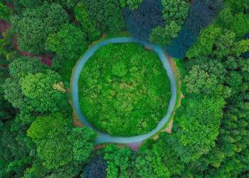 Sustainability Consultants UK