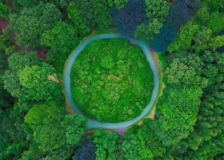 Sustainability Consultants UK